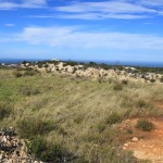 Max Breaks Ground on SA's First Land Art Route
