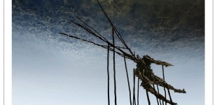 Site_Specific 2011 book to be released in December